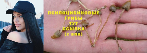 синтетический гашиш Абинск