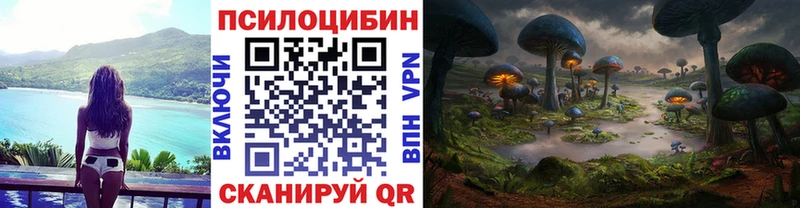 Псилоцибиновые грибы Psilocybine cubensis  дарнет шоп  Стрежевой 