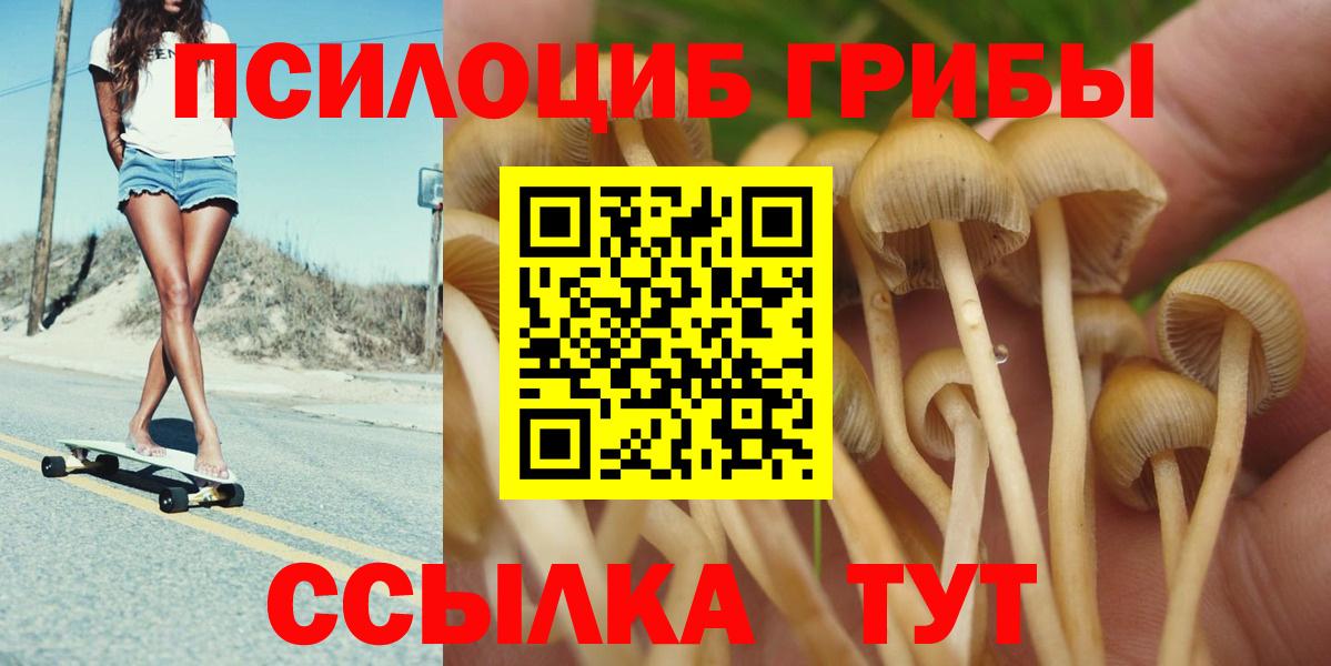 Псилоцибиновые грибы мухоморы Стрежевой