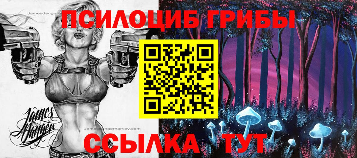 Галлюциногенные грибы мухоморы  Вход с VPN  Стрежевой 